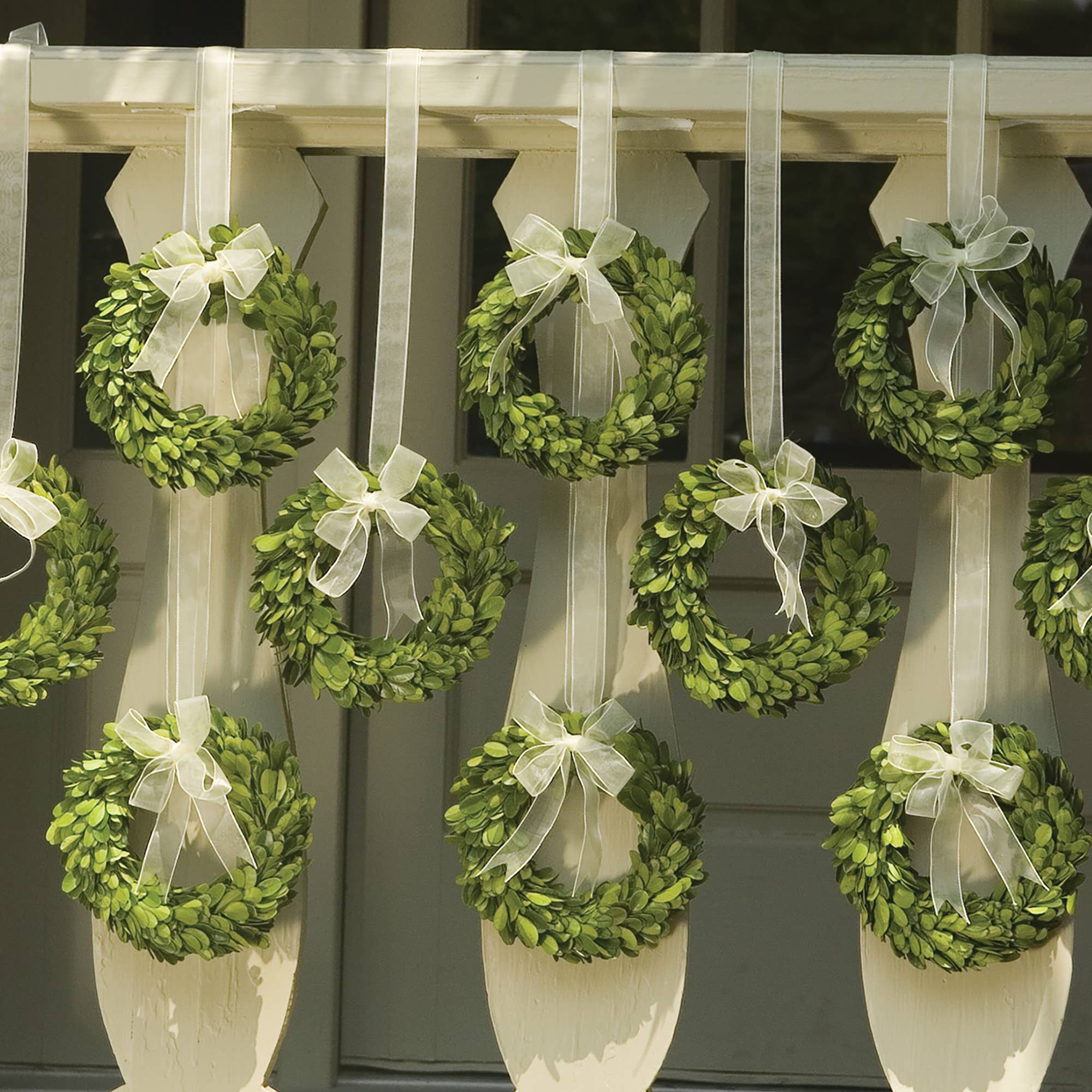 Real English Boxwood Wreath - Image 4