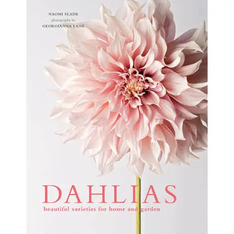Dahlias Hardcover Book - Image 2