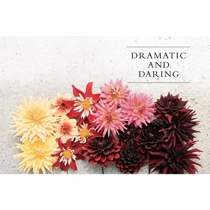 Dahlias Hardcover Book - Image 3
