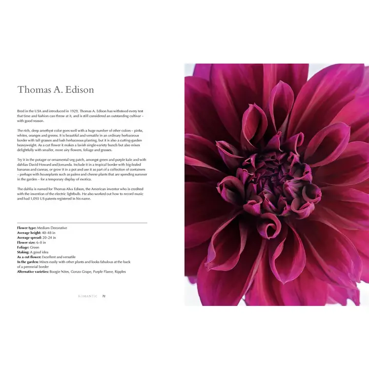 Dahlias Hardcover Book - Image 5