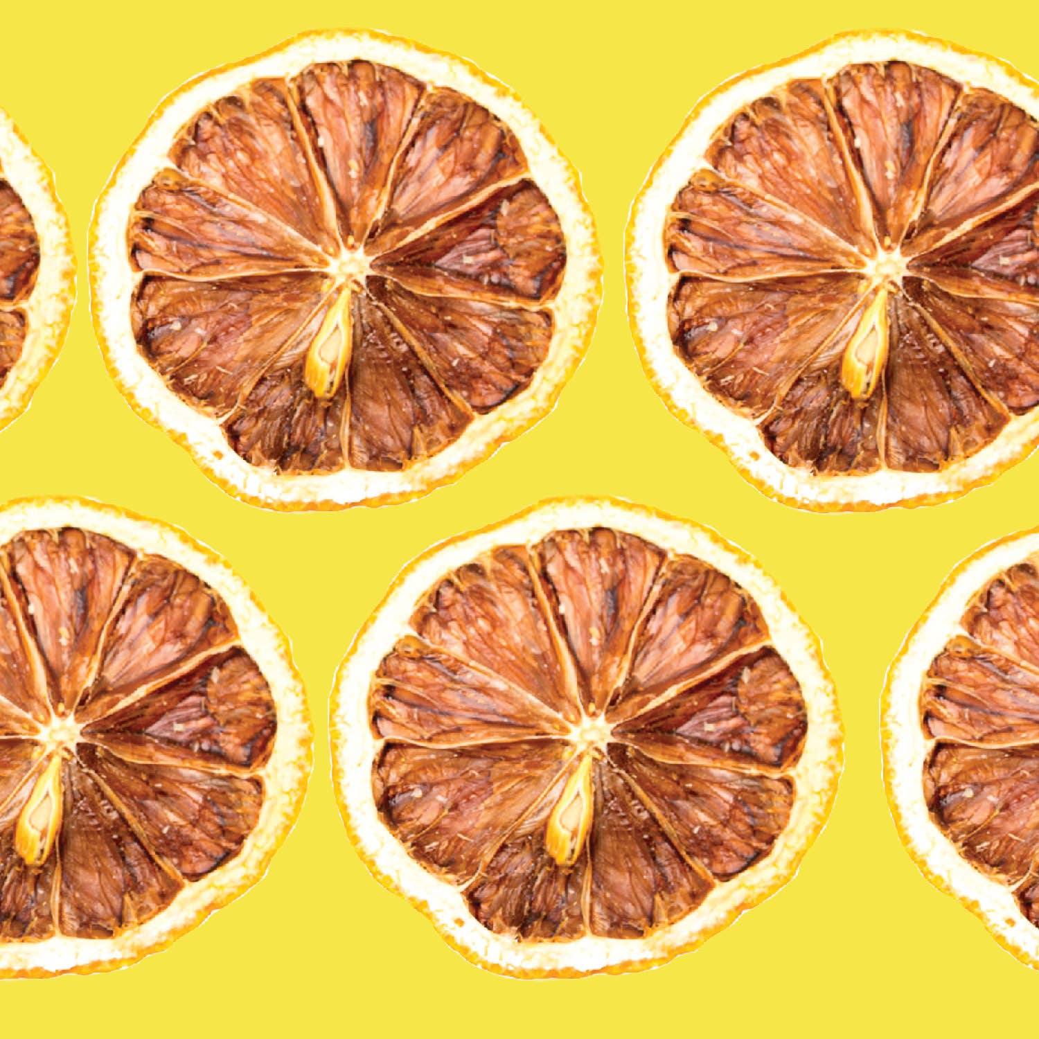 Dehydrated Lemon Slices – All-Natural Cocktail & Baking Garnish | Fresh Lemon Flavor - Image 3