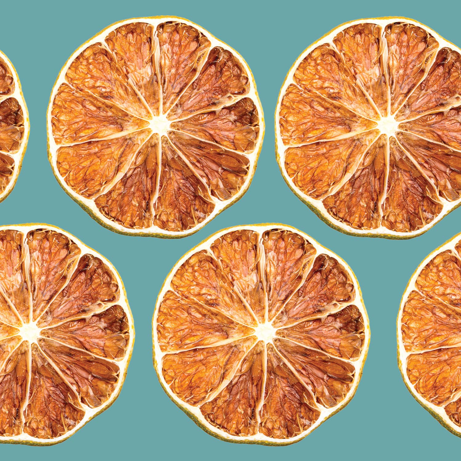 Dehydrated Lime Wheels | All-Natural Cocktail Garnish - Image 3