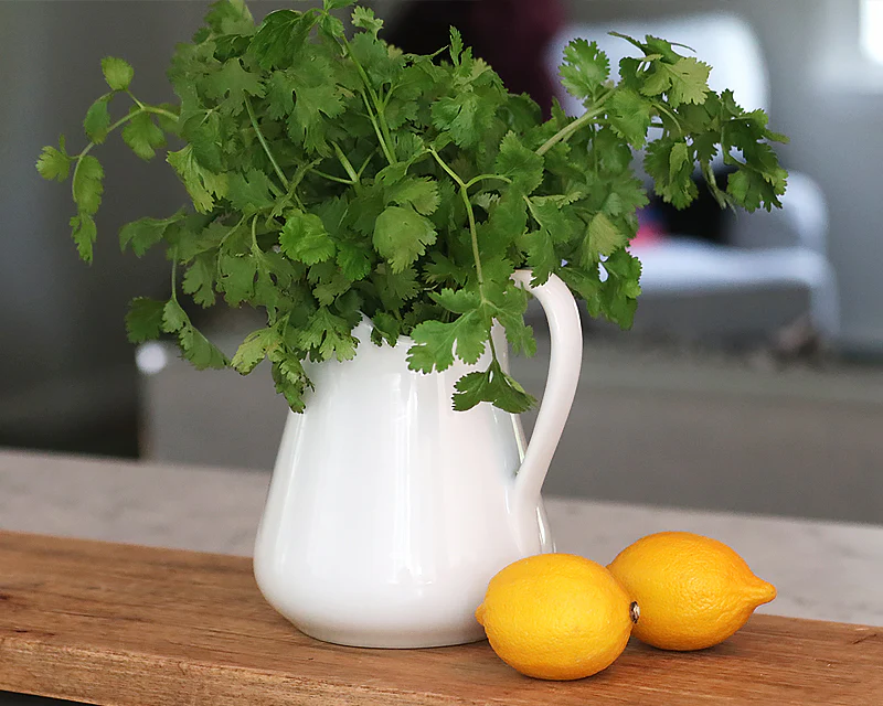 Pillivuyt Milk Jug - Image 7
