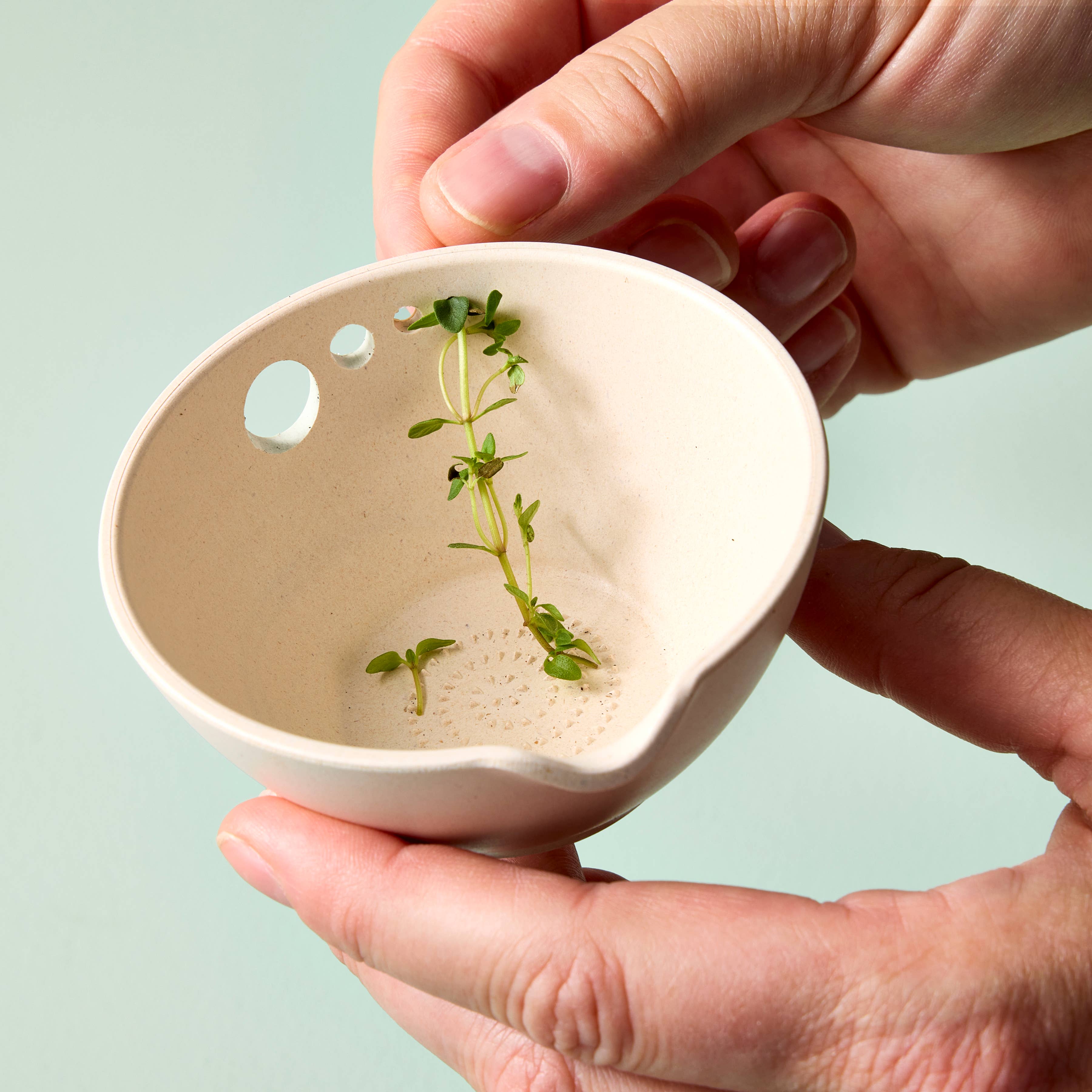 Peel, Grate & Prep Dish - Image 3