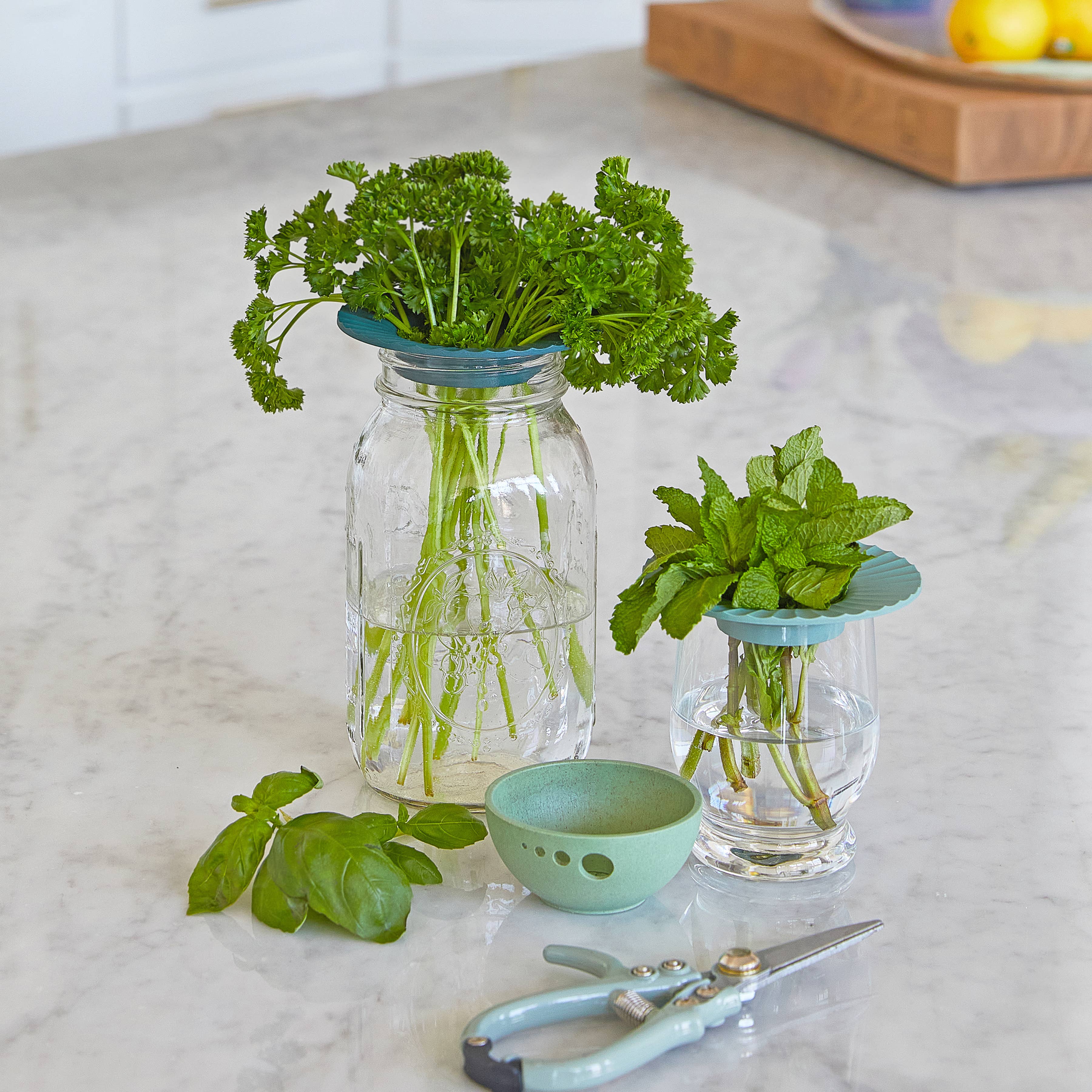 Produce Keepers - Set of 2 - Image 7