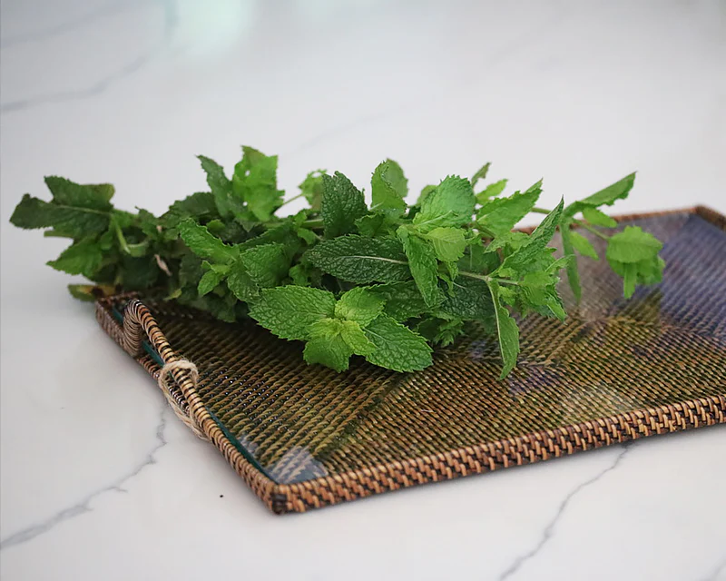 Rectangular Tray With Glass Bottom - Image 4